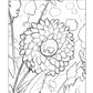 THE BOUQUET ORIGINAL DRAWINGS